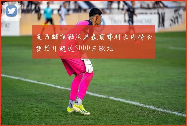 皇马瞄准勒沃库森前锋科法内转会费预计超过5000万欧元