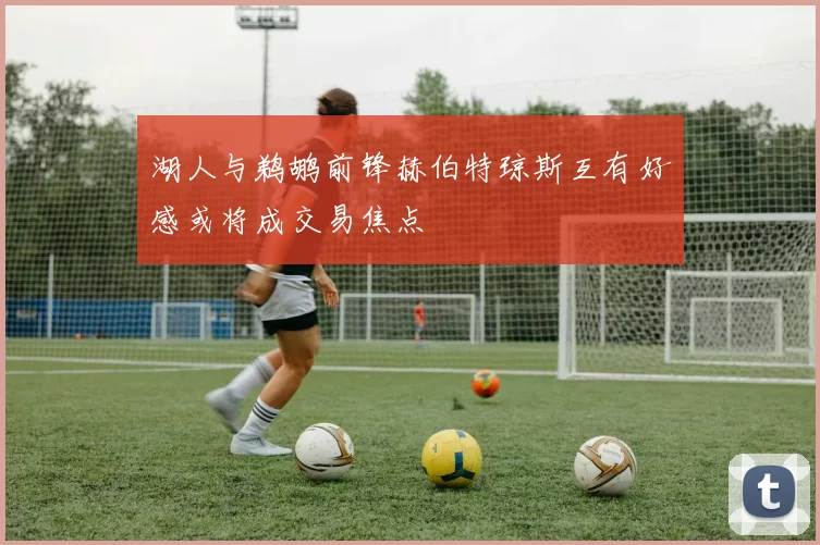 湖人与鹈鹕前锋赫伯特琼斯互有好感或将成交易焦点